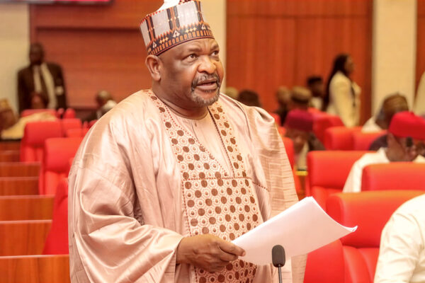 Next We May Hear Akpabio Is Hijacked — Senator Ningi Reacts to US Airstrikes