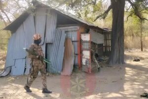 Nigerian Troops Storm ISWAP Camps, Kill 32 Fighters in Borno and Yobe