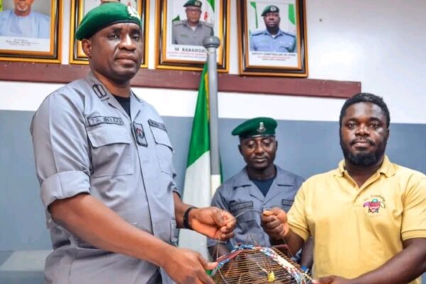 Ogun Customs Hand Over Four Seized Pangolins to Conservation Centre