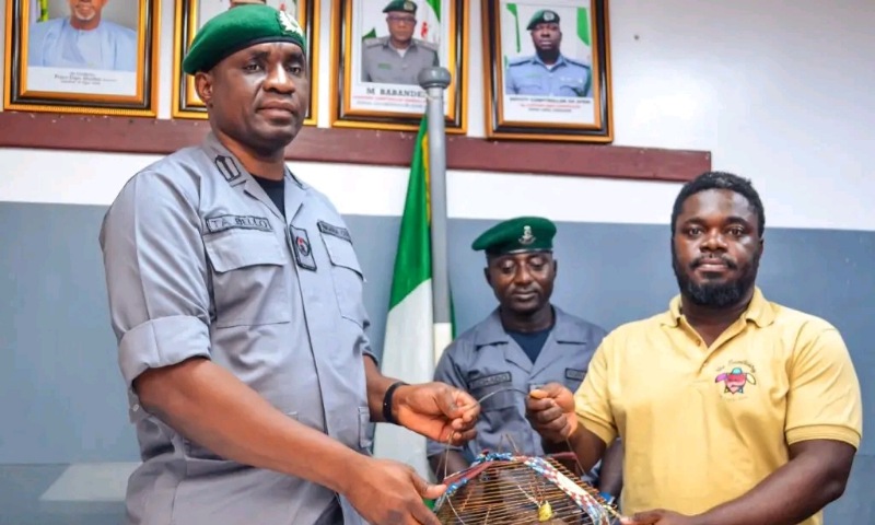 Ogun Customs Hand Over Four Seized Pangolins to Conservation Centre