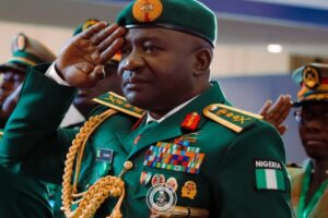 Defence Minister Calls for Unity to Tackle Nigeria’s Security Problems