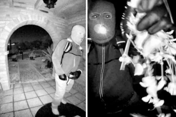 Glove Discovered Outside Savannah Guthrie’s House Matches Video Suspect