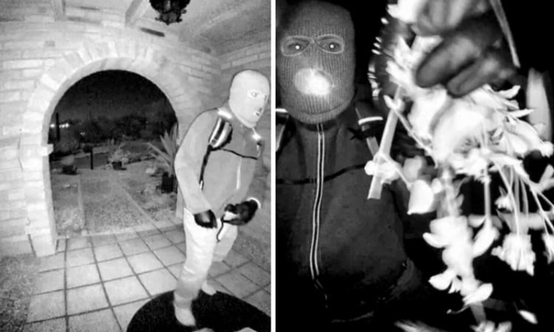 Glove Discovered Outside Savannah Guthrie’s House Matches Video Suspect