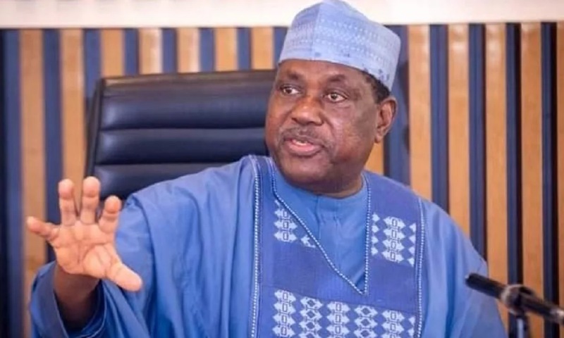 FG Claims Many Attackers Causing Killings in Nigeria Are Foreigners