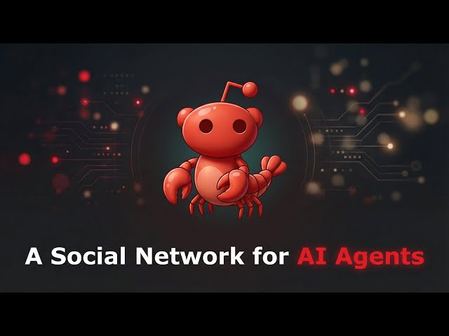 Moltbook: AI bots get own social network, Moltbook, without human interaction