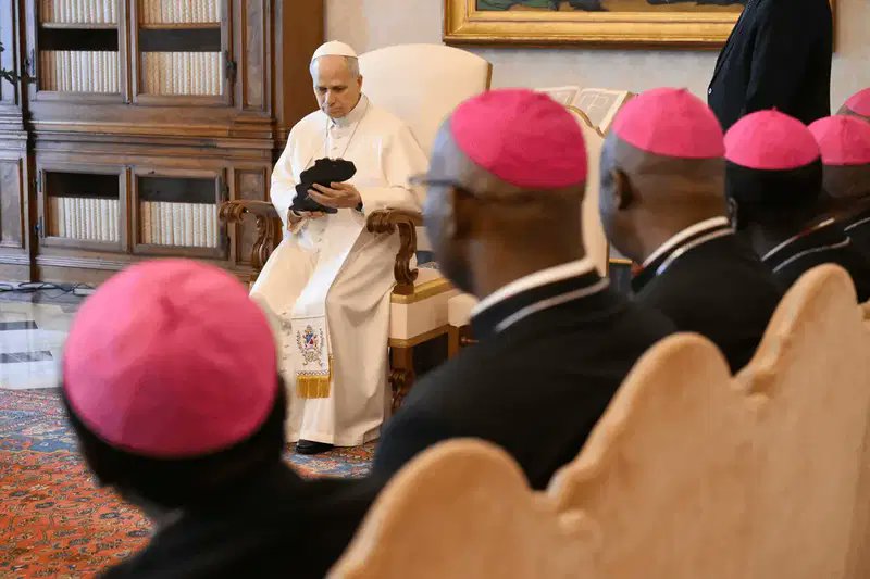 Pope Leo XIV Receives Nigerian Bishops During Ad Limina Visit to Vatican