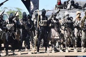 Image of Islamic State of West African Province (ISWAP)