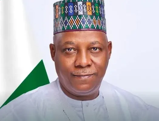 Vice President Kashim Shettima