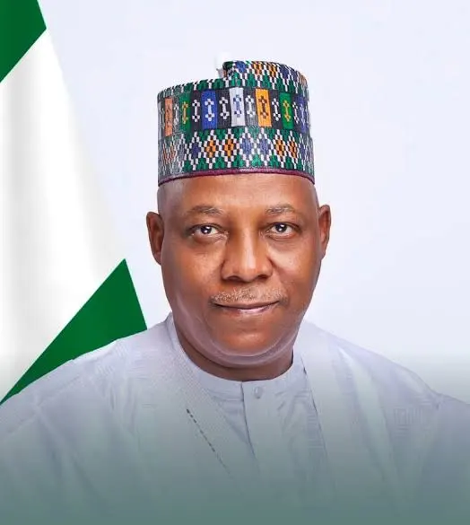 Vice President Kashim Shettima