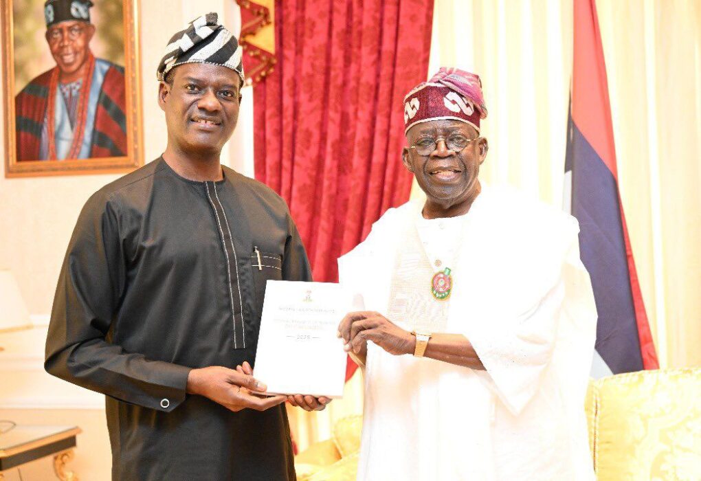 Taiwo Oyedele and President Tinubu