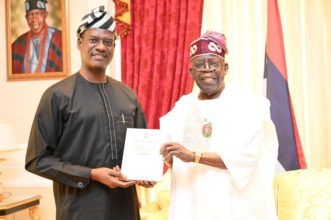 Taiwo Oyedele and President Tinubu
