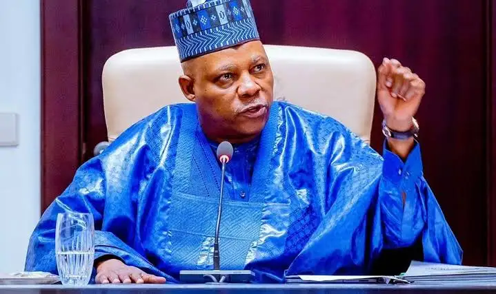 Vice President Shettima