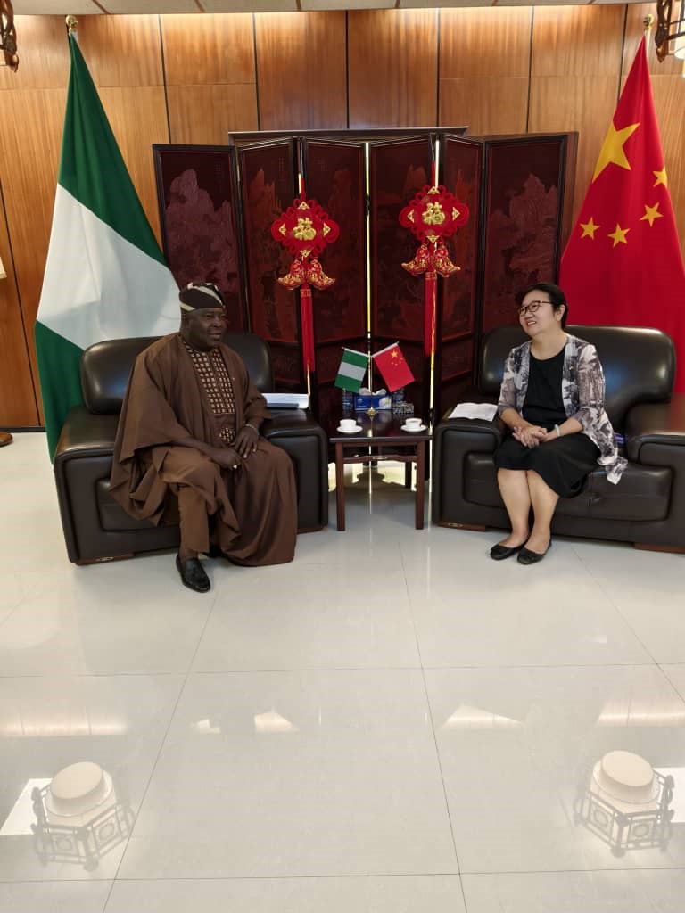 Nigerian traders seek visa support, stronger trade access from China