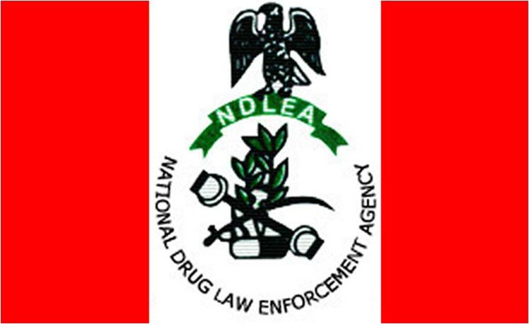 NDLEA Seizes Dutch Drugs and Military Ammunition in Nationwide Raids