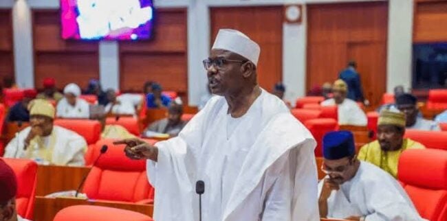 Ali Ndume