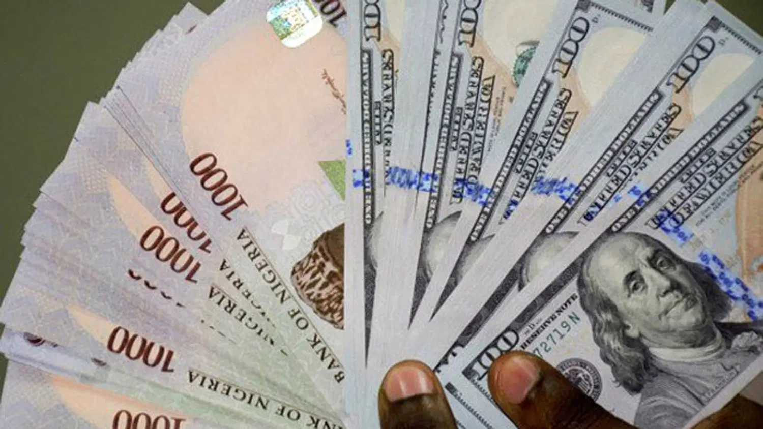 Naira Holds Firm Against Dollar as Forex Market Remains Stable