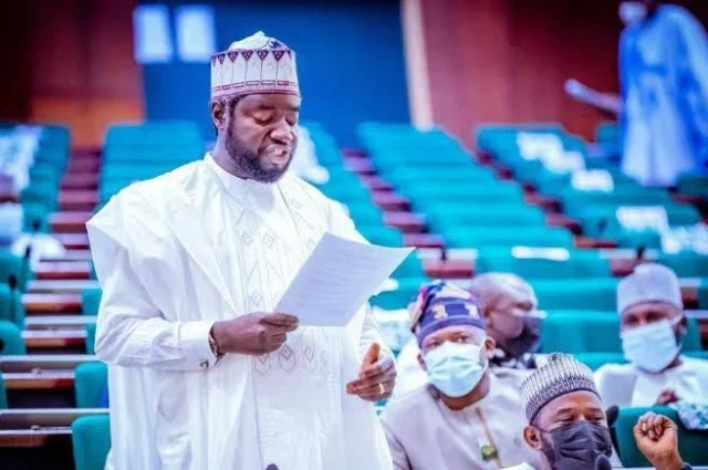 PFIPC Probe: Reps Identify 29 Forged Documents, Order IG to Produce Adeyemi Within 48 Hours