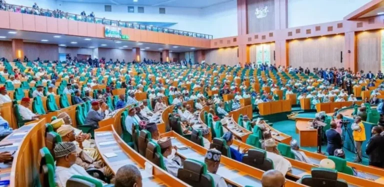 House of Reps urges youths to shape Nigeria's democracy ahead of 2027
