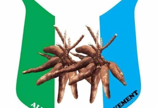 APM demands release of FBI report on Tinubu